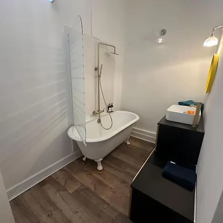 Appartement Standing Dans Hypercentre Historique Toulouse Exterior photo