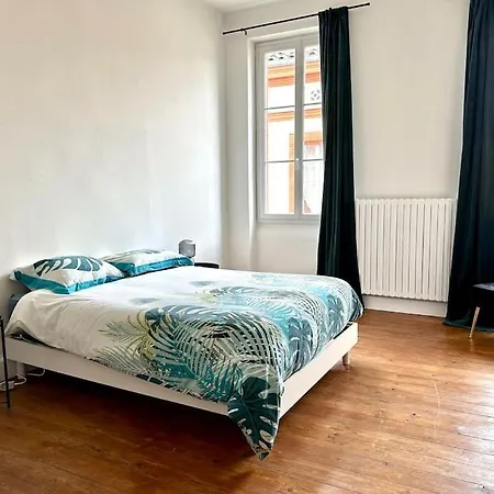 Appartement Standing Dans Hypercentre Historique Toulouse Exterior photo