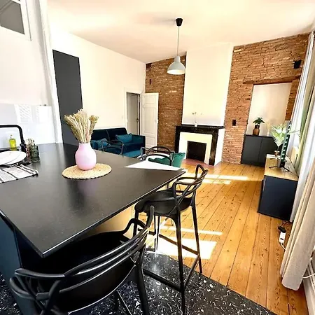Appartement Standing Dans Hypercentre Historique Toulouse Exterior photo