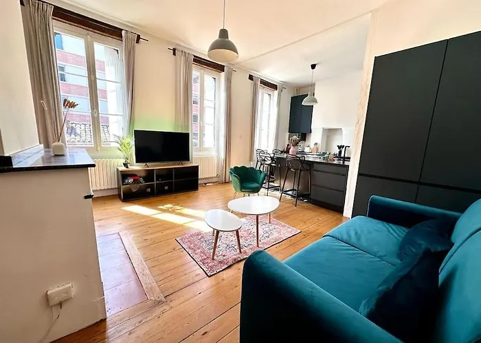 Appartement Standing Dans Hypercentre Historique