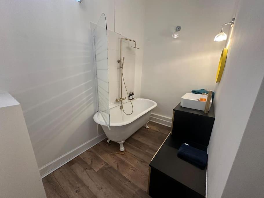 Standing Dans Hypercentre Historique Apartment Toulouse
